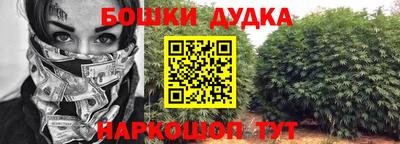 сатива Будённовск
